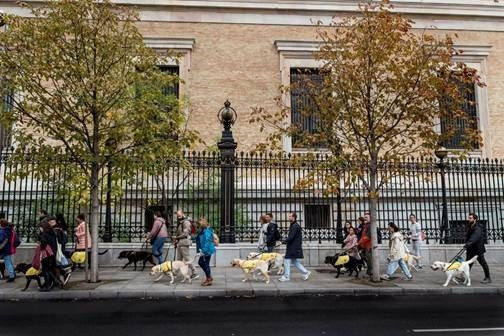 EuropaPress 5518334 marcha perros guia