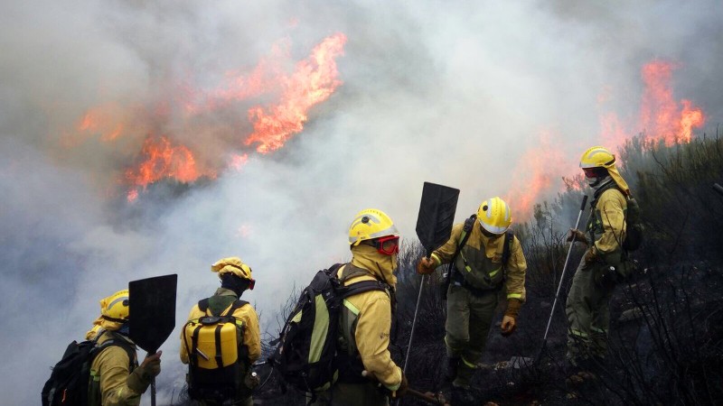 Bombeirosforestaisincendios